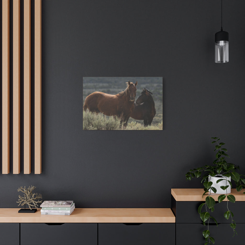 Wild Mustang Canvas Print — Rustic Horse Photography Stretched Matte Canvas