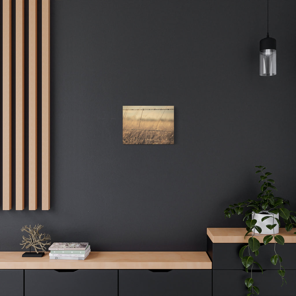 Golden Field Barbed Wire Canvas