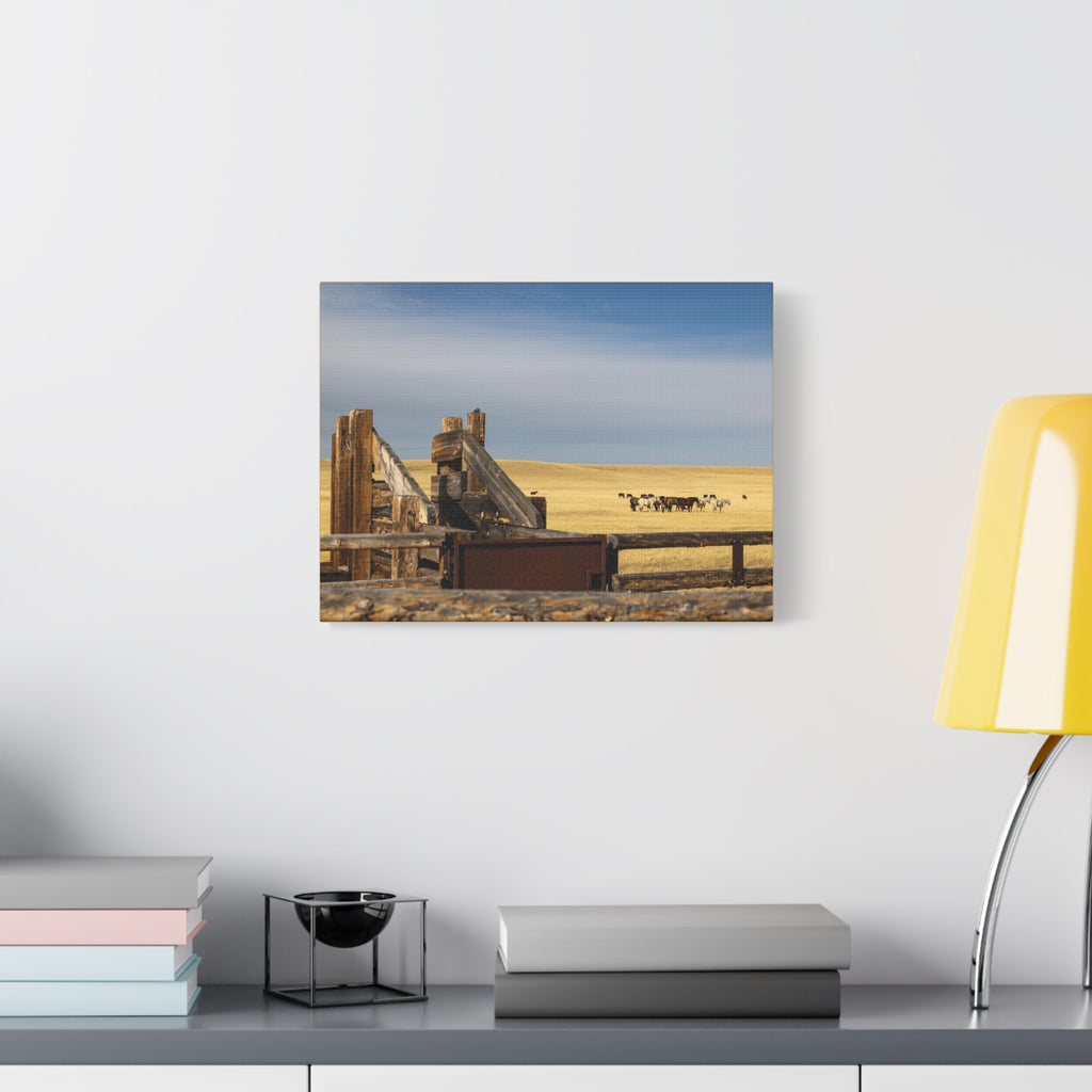 Rustic Open Range Horse Canvas Print — Stretched Matte Wall Art