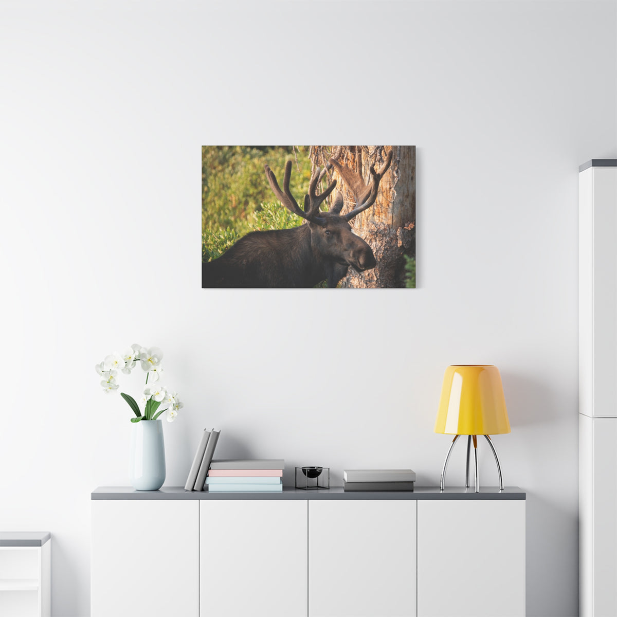 Bull Moose Antlers Canvas