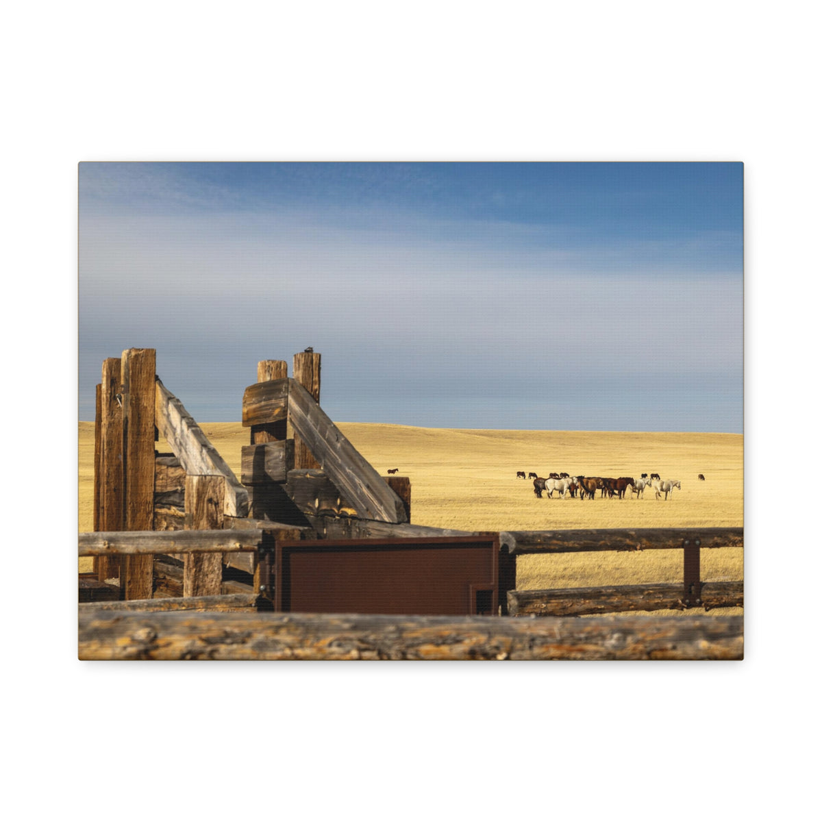 Rustic open range horse canvas print by Printify, stretched matte wall art featuring a detailed horse illustration on canvas.