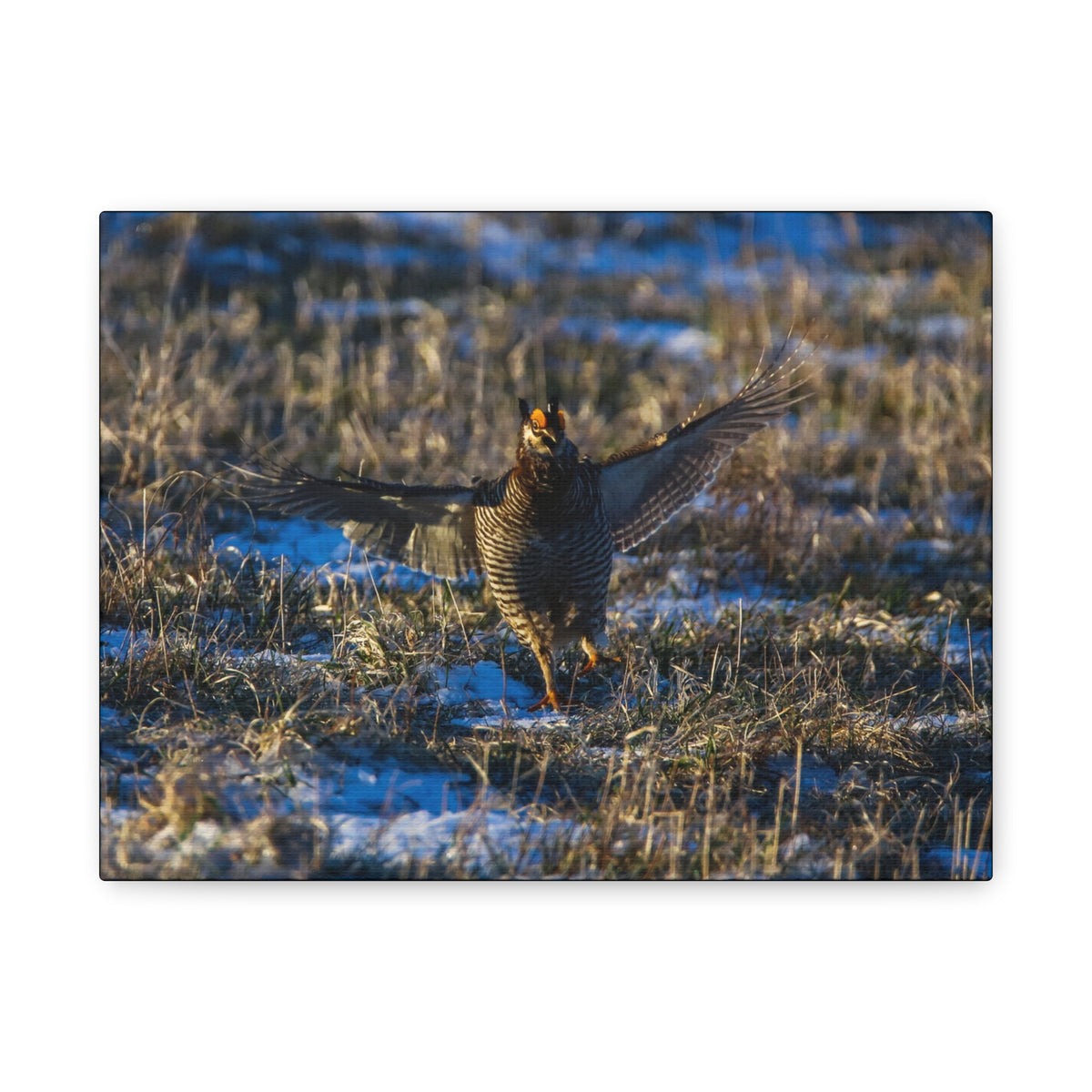 Matte stretched canvas print by Printify, 1.25-inch thick, showcasing a high-quality canvas surface suitable for wall decor.