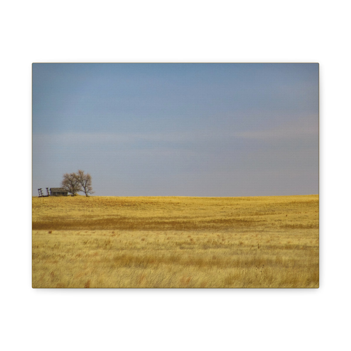 Prairie Field canvas print by Printify showcasing a minimal landscape scene with open sky and rolling grass terrain.