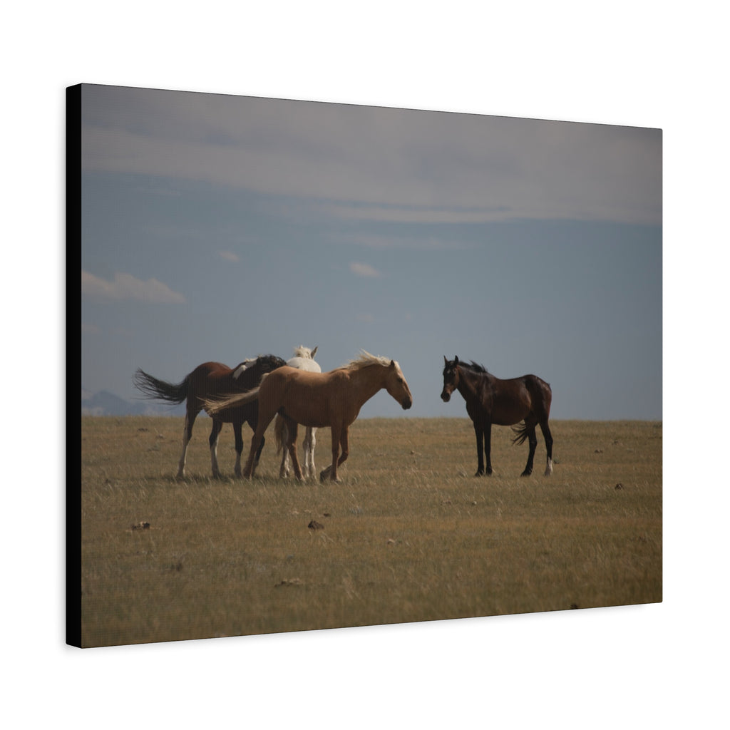 Wild Horses pastoral landscape canvas wall art by Printify, featuring a serene horse scene on stretched matte canvas.