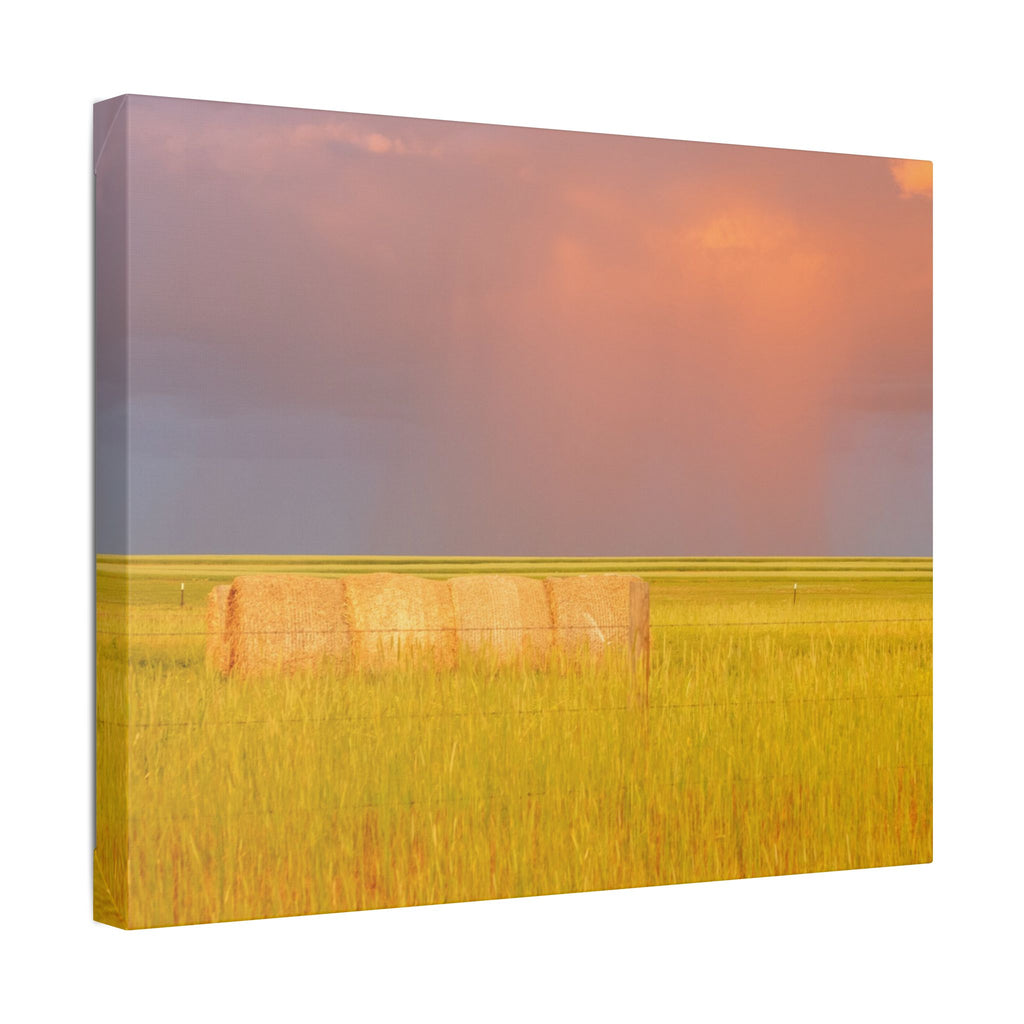 Prairie Clouds Canvas Print — Golden Field with Rolling Western Clouds