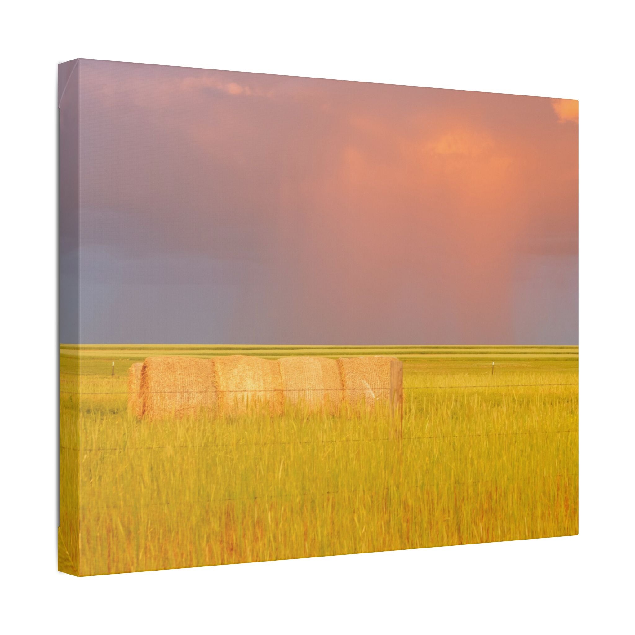 Prairie Clouds Canvas Print — Golden Field with Rolling Western Clouds