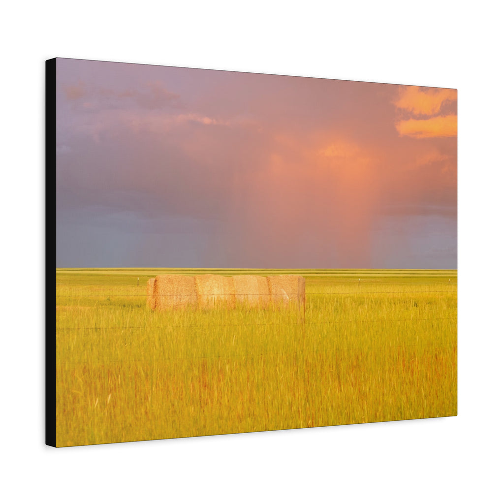 Golden Prairie Hay Bale Canvas | Matte Stretched Wall Art