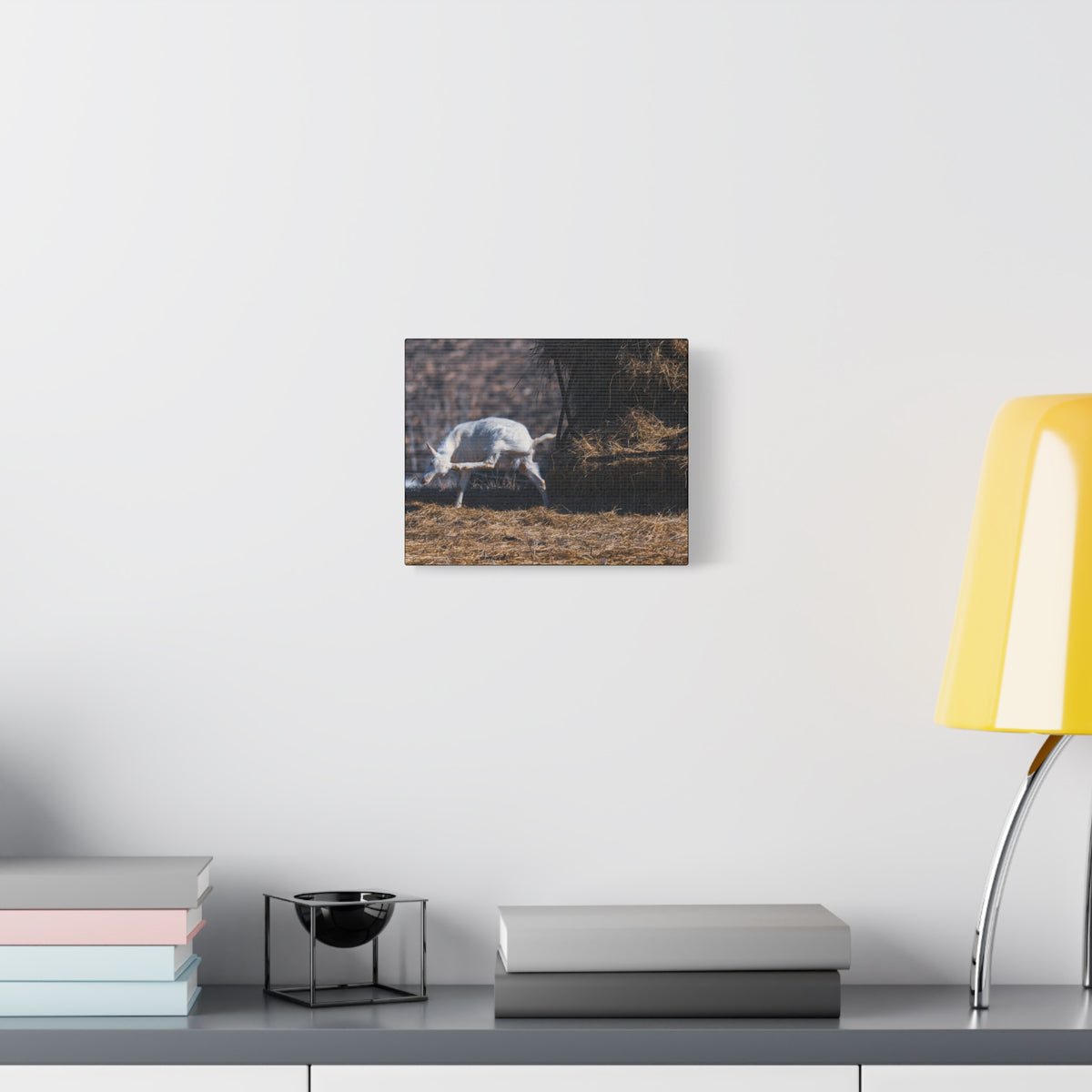 White Goat Canvas