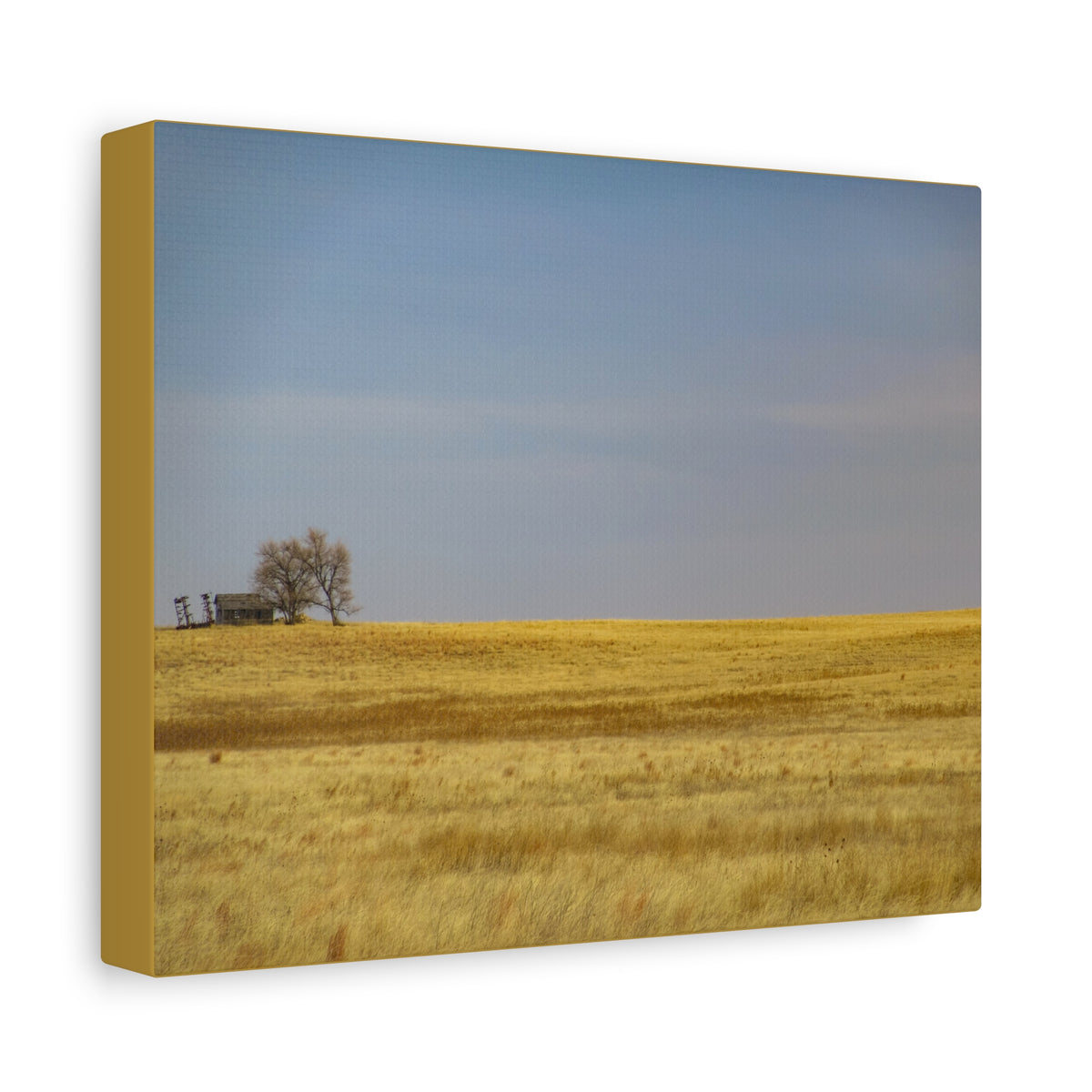 Prairie Field Canvas Print — Minimal Landscape Wall Art