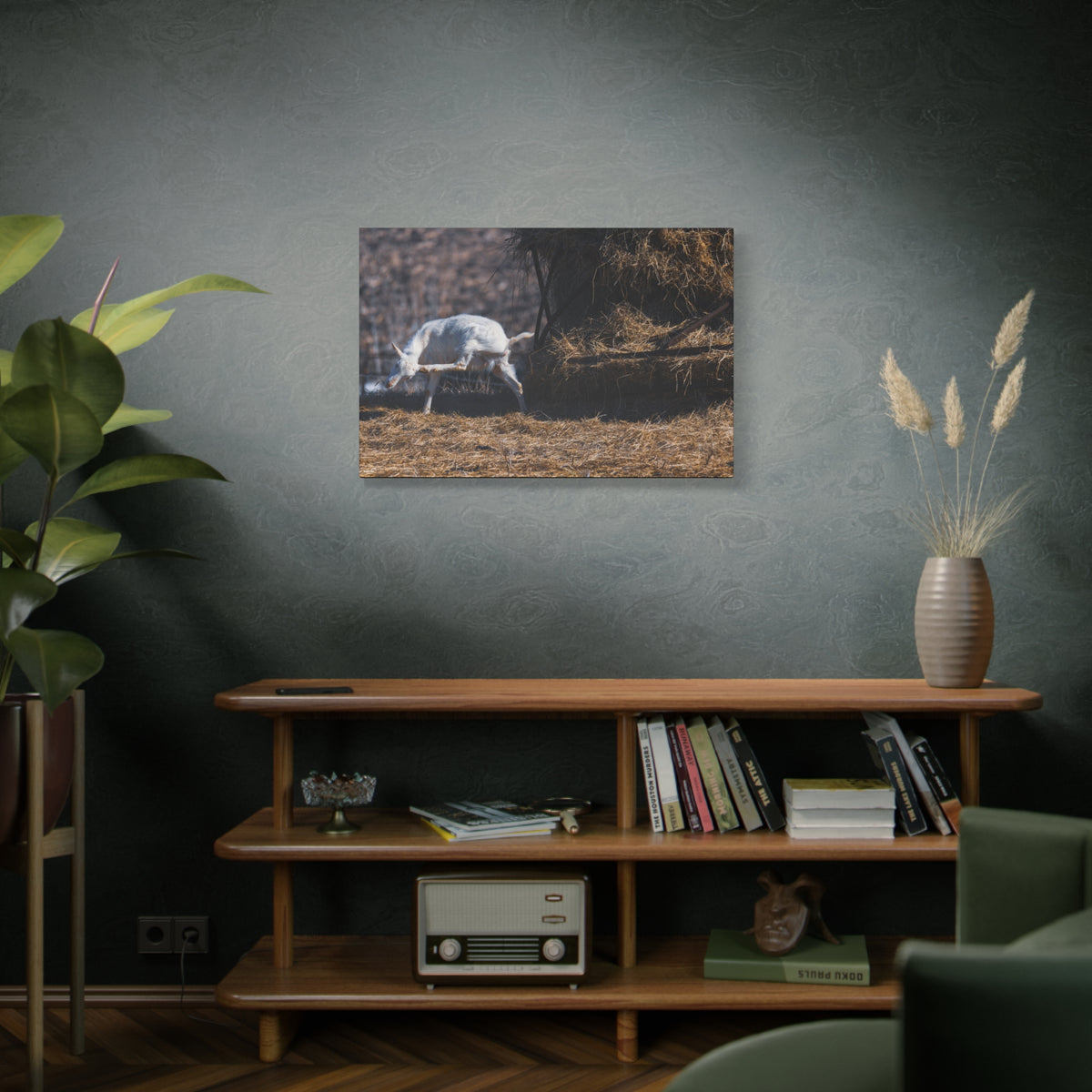 White Goat Canvas