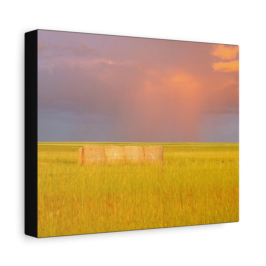 Golden Prairie Hay Bale Canvas | Matte Stretched Wall Art