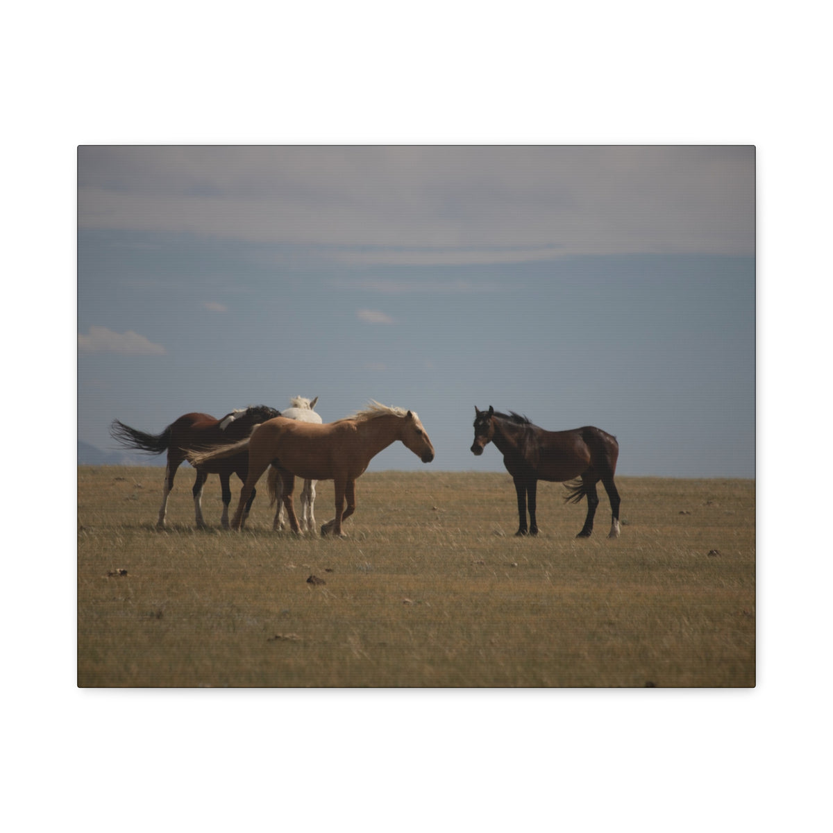 Wild Horses pastoral landscape matte canvas wall art by Printify, featuring a scenic stretched canvas of wild horses in nature.
