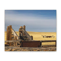 Rustic Open Range Horse Canvas Print — Stretched Matte Wall Art