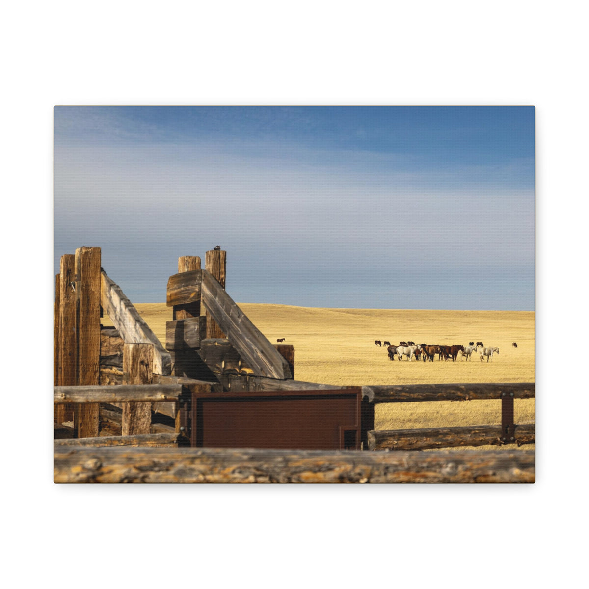 Rustic open range horse canvas print by Printify, stretched matte wall art showcasing a detailed horse scene on canvas.
