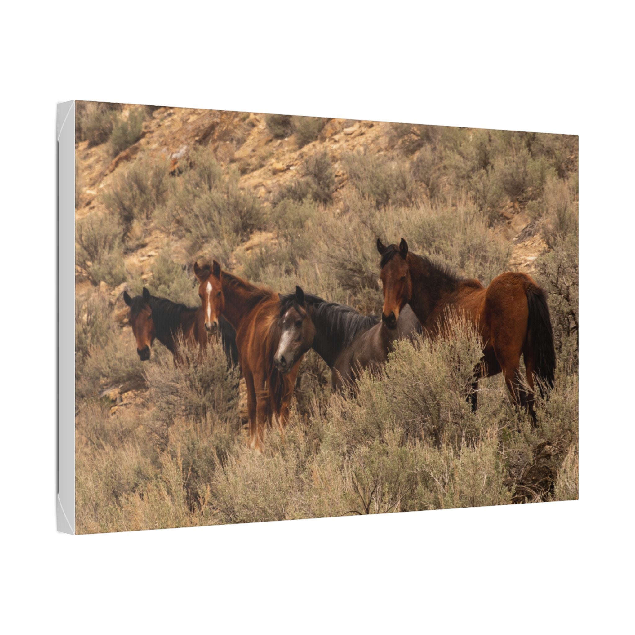 Wild Horses Canvas Print — Rustic Western Wall Art