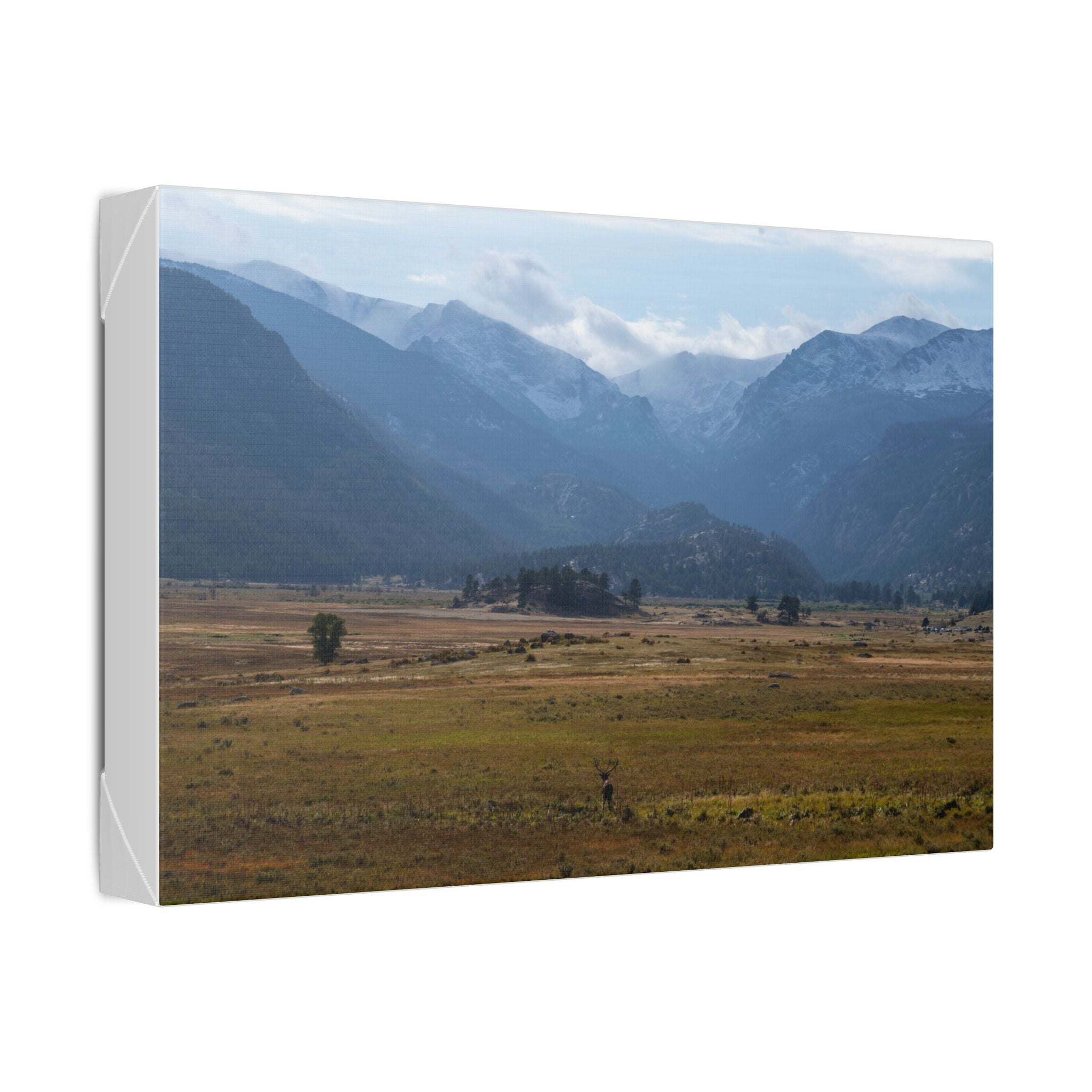 Mountain Valley Landscape Canvas Print — 'Elk in the Foreground' Stretched Wall Art