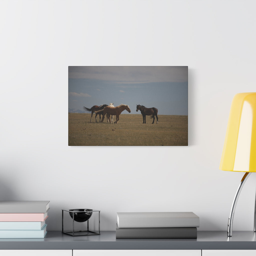Wild Horses pastoral landscape canvas wall art by Printify, featuring a serene scene of wild horses in a natural setting.