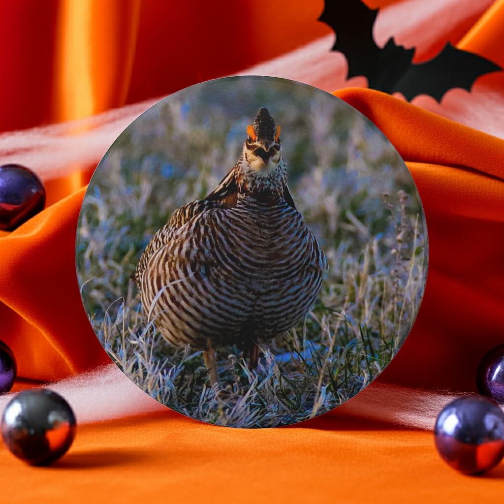 Ceramic Coaster — Northern Bobwhite Quail Photo Coaster